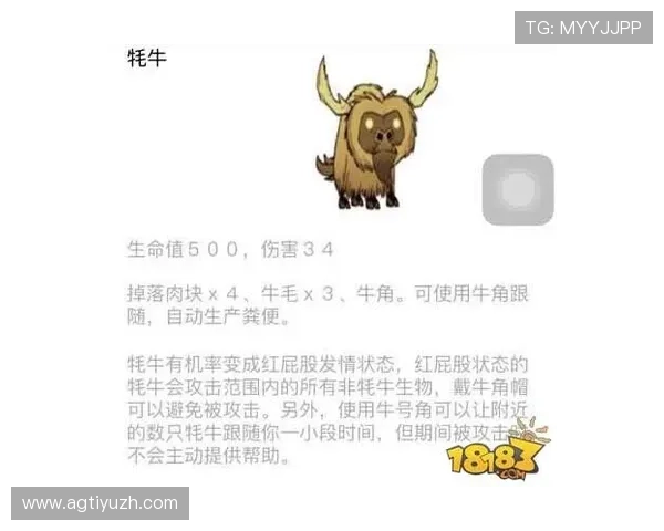 单挑牛牛常见问题解答与实用技巧指导