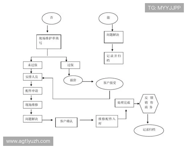 DS视讯平台的客户服务与技术支持详解，确保您的使用无忧体验