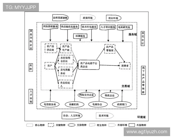 深入了解AG电子评级系统如何影响游戏体验与玩家积分提升策略