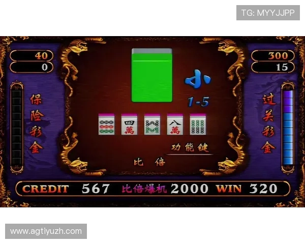 视讯龙虎游戏玩法详解让你轻松掌握赢取大奖的秘诀