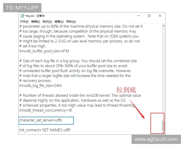 遇到登录问题怎么办？PA官方登陆常见问题解决方案